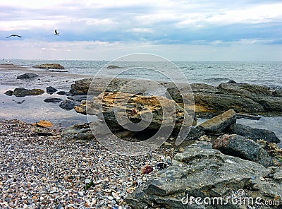 Seascape with seaguls and stones Stock Photo