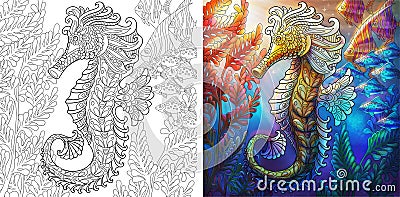 Seahorse colorless and color samples Vector Illustration