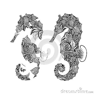 Seahorse graphic patterns. Abstract illustrations. Vector Illustration