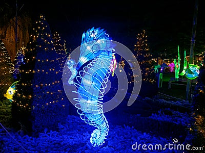 Seahorse sculpture luminous in park by night festive season Editorial Stock Photo