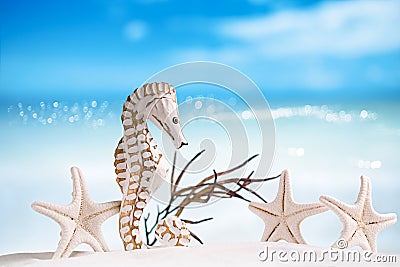 Seahorse with red corals on white sand beach Stock Photo