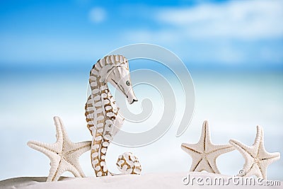 Seahorse with white starfish on white sand beach, ocean, sky an Stock Photo