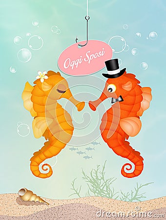 Seahorses in love Stock Photo