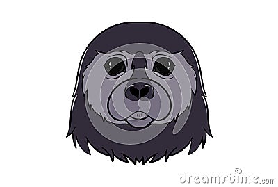 Seal animal head cartoon wildlife face character art Stock Photo
