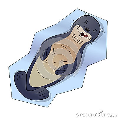 Seal animal lies on an ice and lick. Cartoon character design Vector Illustration