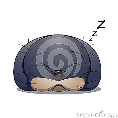 Seal animal sleep. Vector character design Vector Illustration
