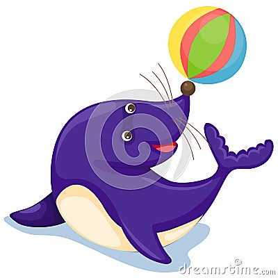 Seal with ball Vector Illustration