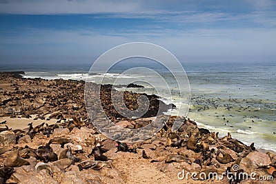Seal colony at Cape Cross Stock Photo