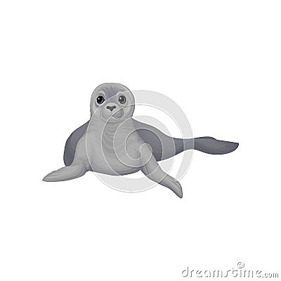 Seal sea animal, inhabitant of cold seas vector Illustration on a white background Vector Illustration
