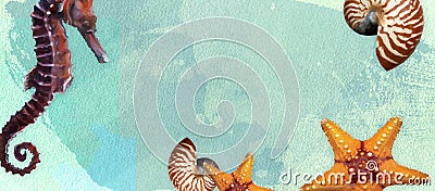 Summer banner with oil paint and watercolor brushes. Seashell, seahorse, starfish on a marine background with text space. Stock Photo