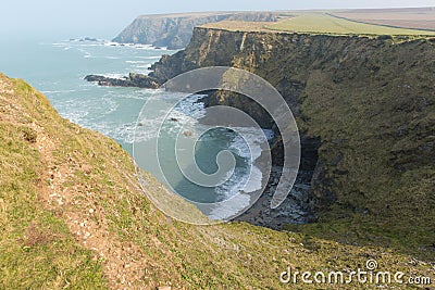 Seals on beach Mutton Cove near Godrevy Cornwall coast England UK Stock Photo