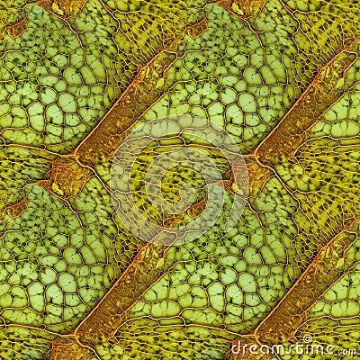 Macro autumn foliage. Green and brown leaf texture close up. AI generative illustration Cartoon Illustration