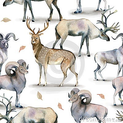 Seamless animal pattern, Watercolor background of stag, deer and mutton on white Stock Photo