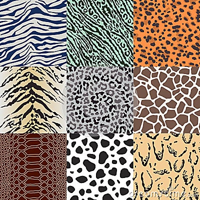 Seamless animal skin pattern Vector Illustration