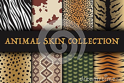 Seamless animal skin patterns set. Safari textile of Giraffe, tiger, zebra, leopard, reptile, cow, snake and jaguar Vector Illustration