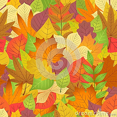 Seamless with autumn leaves on white background Vector Illustration