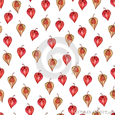 Seamless autumn pattern with physalis. Watercolor physalis pattern. Stock Photo