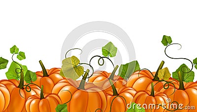 Seamless autumn pumpkin border Vector Illustration