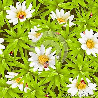 Seamless background: camomiles and ladybugs Vector Illustration