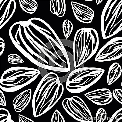 Almonds pattern on black background Cartoon Illustration