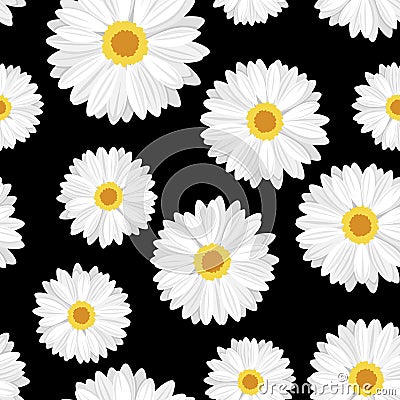 Vector Seamless background with daisy flowers Vector Illustration