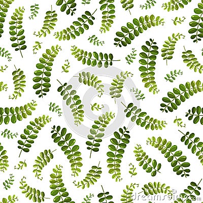 Seamless background with fern on the white background.Suitable for typography, cards, banners and textiles. Stock Photo