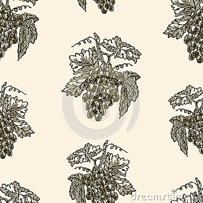 Seamless background of of grape bunches Vector Illustration
