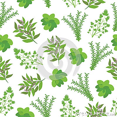 Seamless background of Herbs illustration with basil, sage, rosemary, and parsley on white background Cartoon Illustration