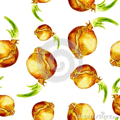 Seamless background with onion. Watercolor vegetables. Stock Photo