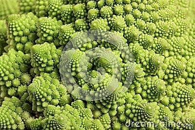 Seamless background from Roman cauliflower Stock Photo