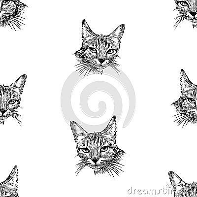 Seamless background of sketch portraits of domestic kittens Vector Illustration