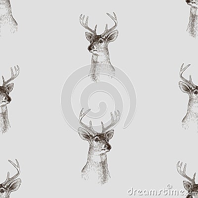 Seamless background of sketches head young wild deer Vector Illustration