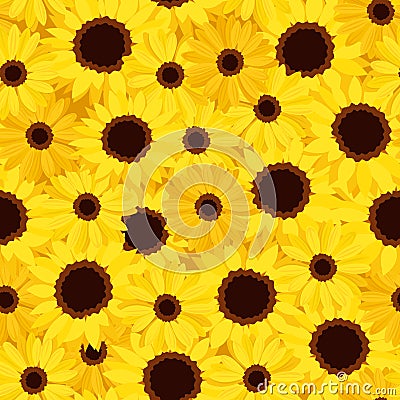 vector seamless background with sunflowers and cal Vector Illustration