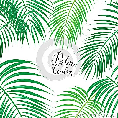 Seamless Background with Tropical Leaves Vector Illustration