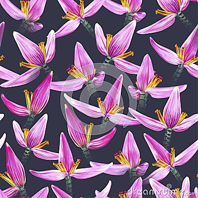 Seamless pattern with tropical pink flowers of banana grass. Vector Illustration