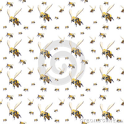 Seamless bees background Stock Photo