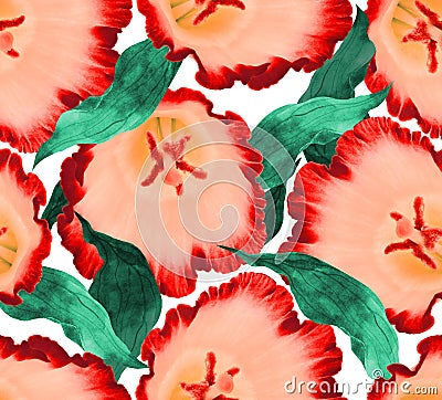 Seamless blossom flower background. Illustration floral pattern. Stock Photo