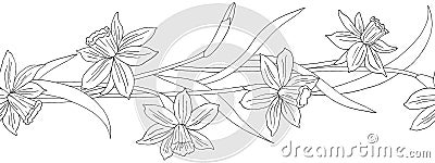 Seamless border or brush with spring flowers and leaves. Narcissus or daffodils. Monochrome ink sketch. Vector illustration Stock Photo