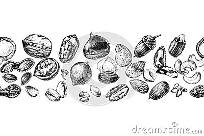Seamless border with hand drawn edible nuts Vector Illustration