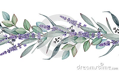 Seamless border from lavender and eucalyptus watercolor illustration. Natural organic herbs mixed in elegant ornament. Cartoon Illustration