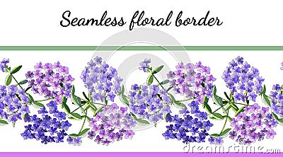 Seamless border with phlox flowers isolated on white Stock Photo