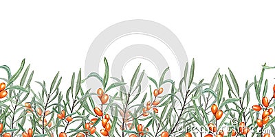 Seamless border of Sea Buckthorn isolated on white. Sandthorn, sallowthorn. Illustration with bright Orange Berries and Green Stock Photo