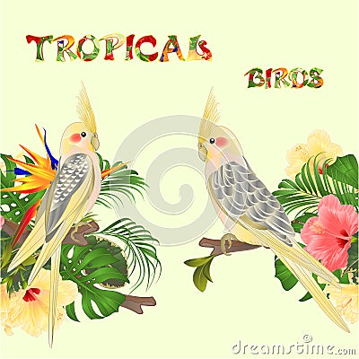 Seamless border tropical birds Yellow cockatiels cute funny parrots and tropical flowers pink and yellow hibiscus and Strelitzi Vector Illustration