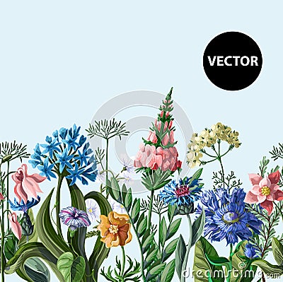 Seamless border with wild flowers. Vector illustration. Vector Illustration