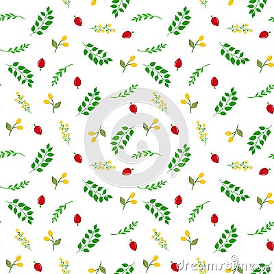 Seamless botanical vector pattern with hand drawn doodle berries red rose hips yellow buckthorn green twigs with leaves flowers Vector Illustration