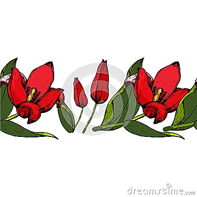 Seamless brush of tulips Vector Illustration