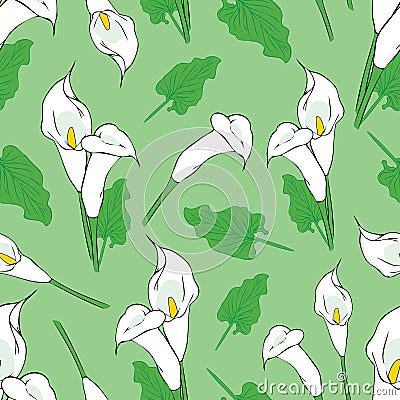 Seamless calla flowers pattern on green background Vector Illustration