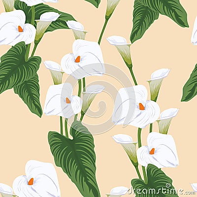 Seamless calla lilies flower background, elegant fashion colorful pattern with flowers. Vector Illustration