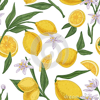 Seamless citric pattern with citrus fruits, flowers and leaves of blooming lemon tree on white repeatable background Vector Illustration