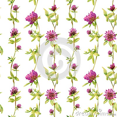 Seamless clover pattern. Watercolor floral background with wildflowers for fabric, wallpaper, summer cloth prints Stock Photo